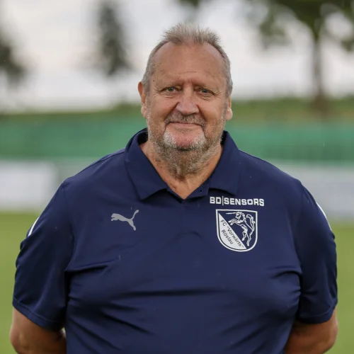 Hermann Wendel