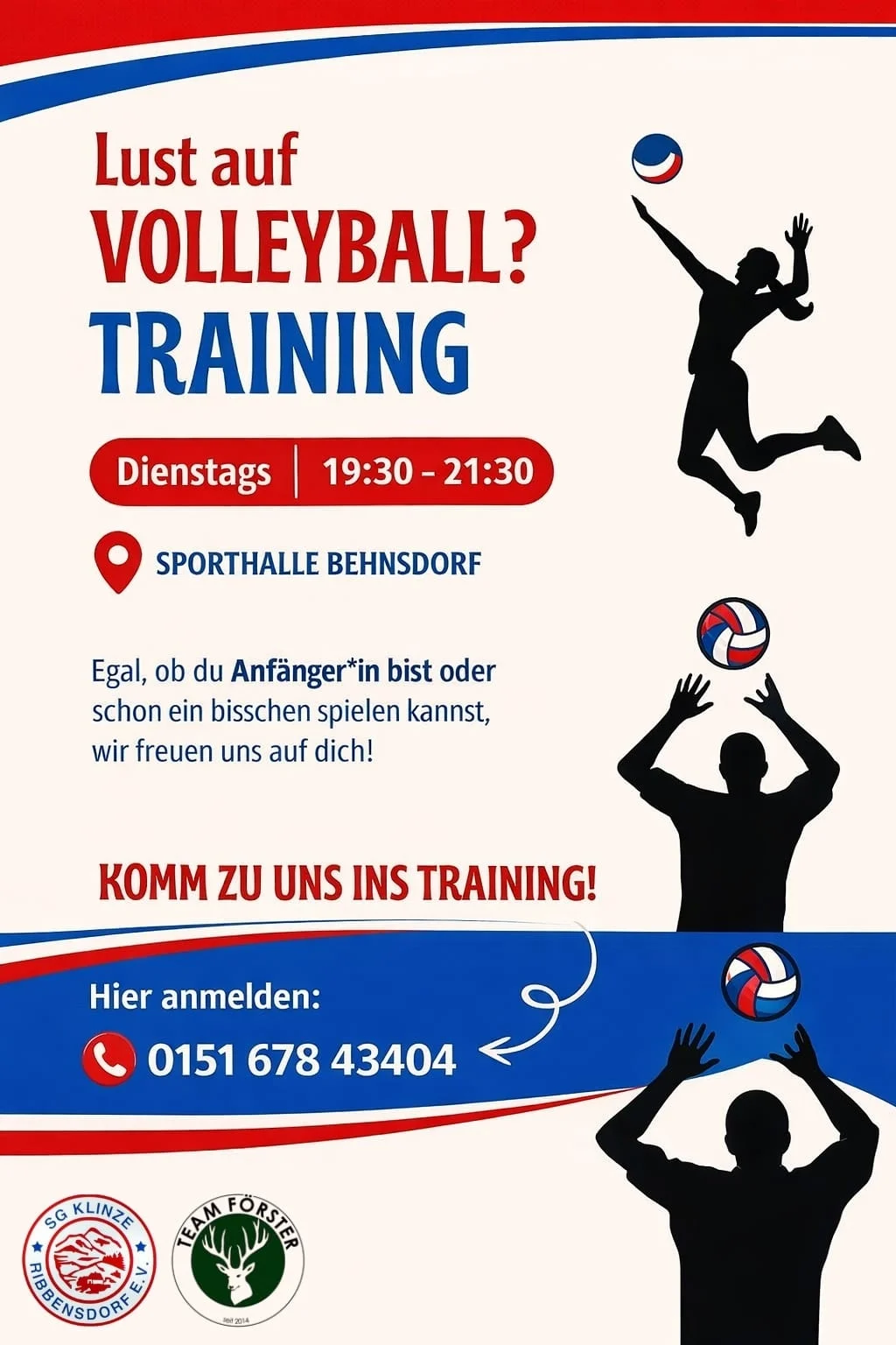 Flyer Volleyball
