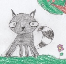 3a_Waschbär_1 (2)