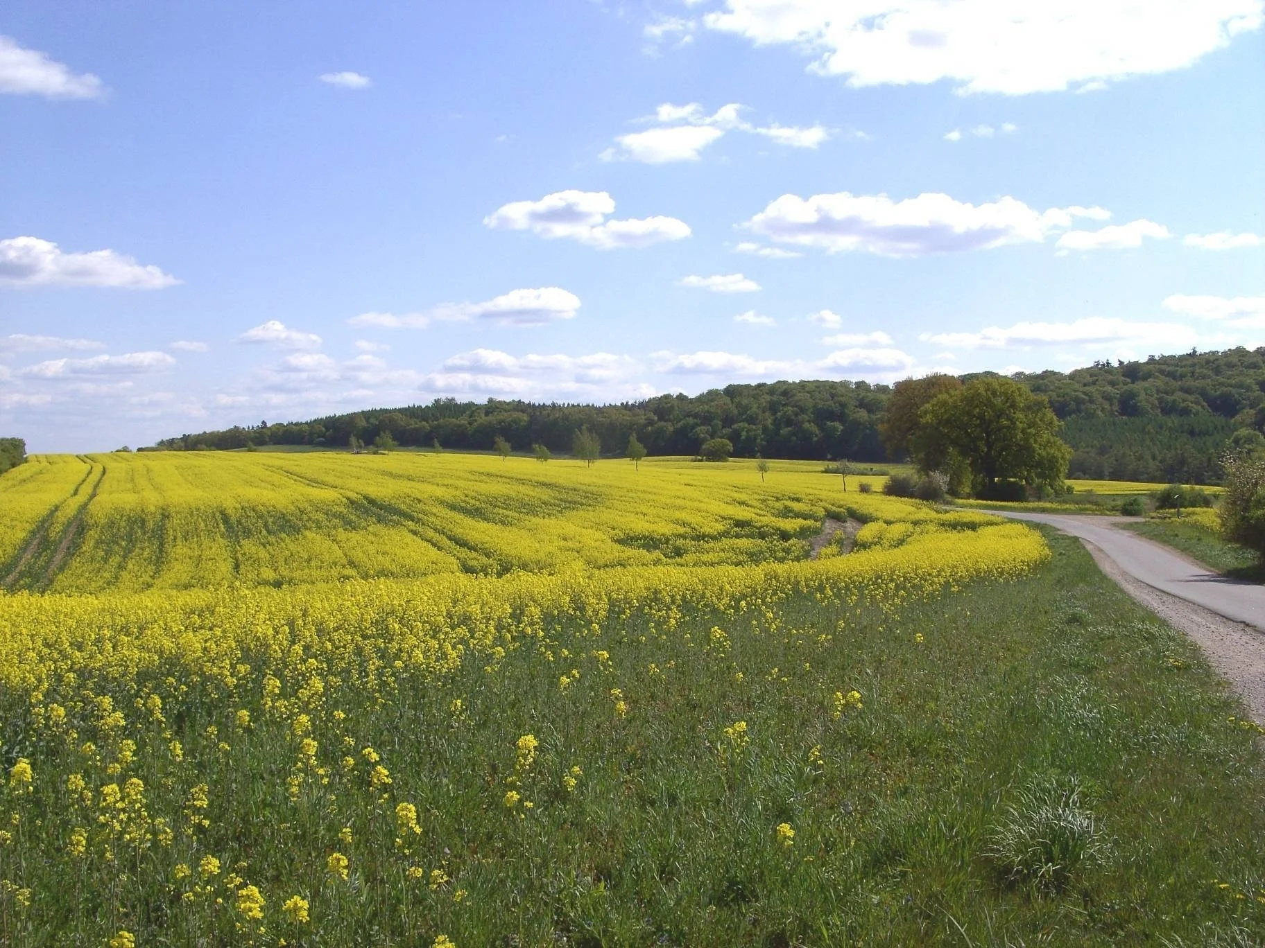 Hier am Salemer Weg befand sich einmal die Brücke über den Ziegenbach
