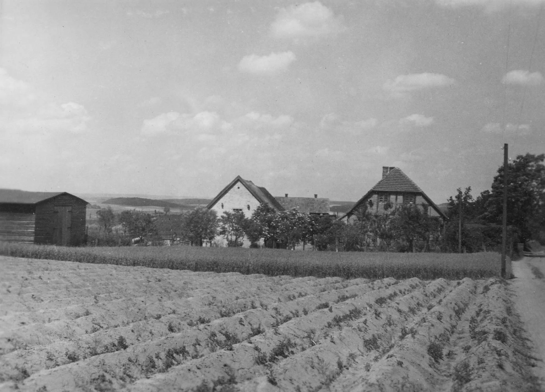 Franzensberg 105