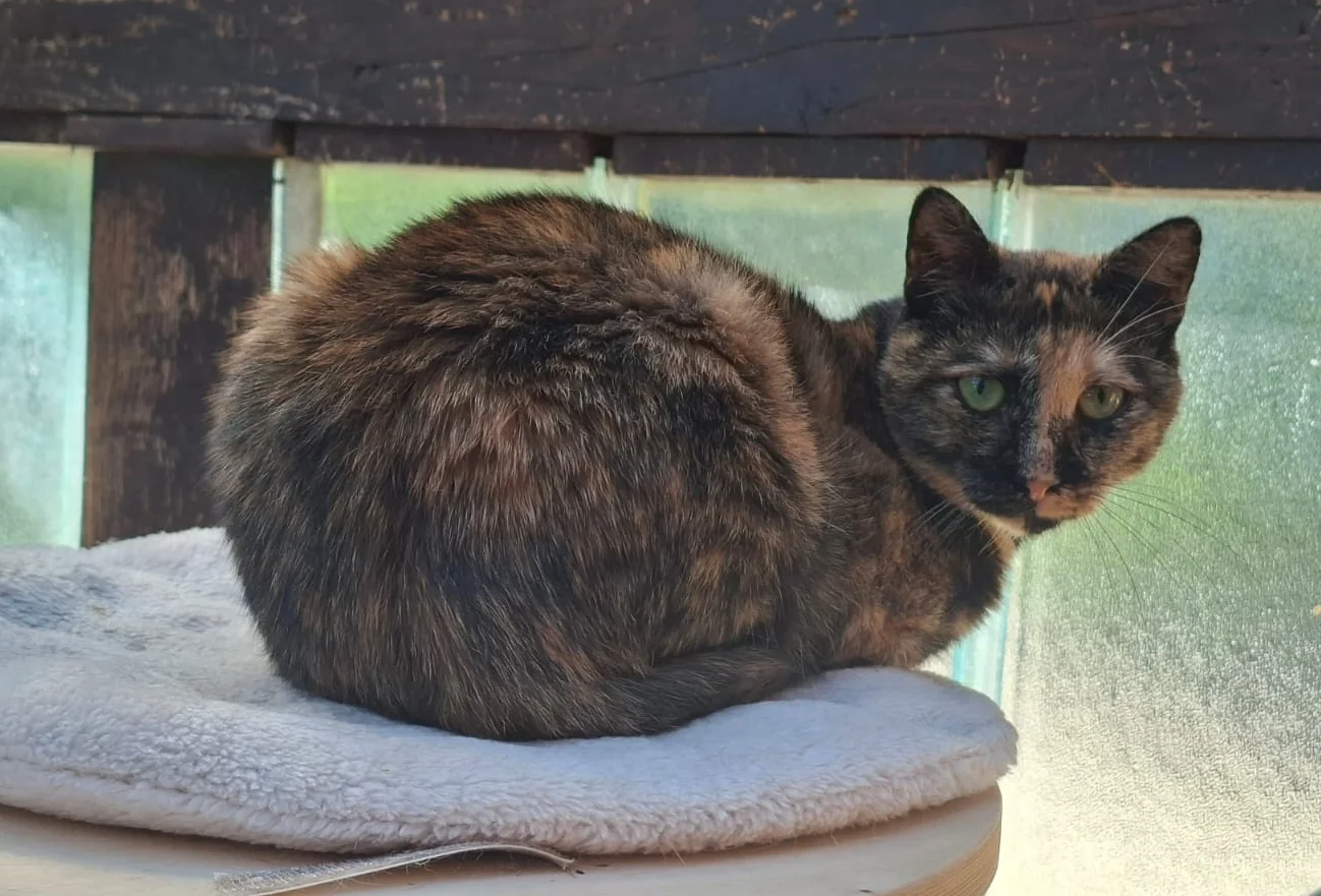 Luna