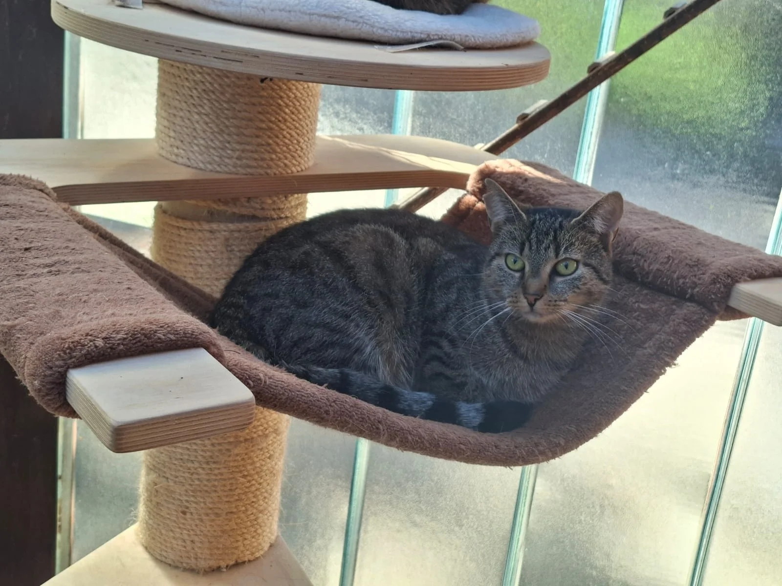 Leni