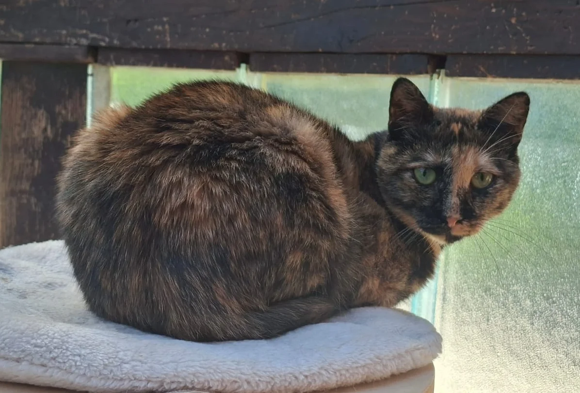 Luna