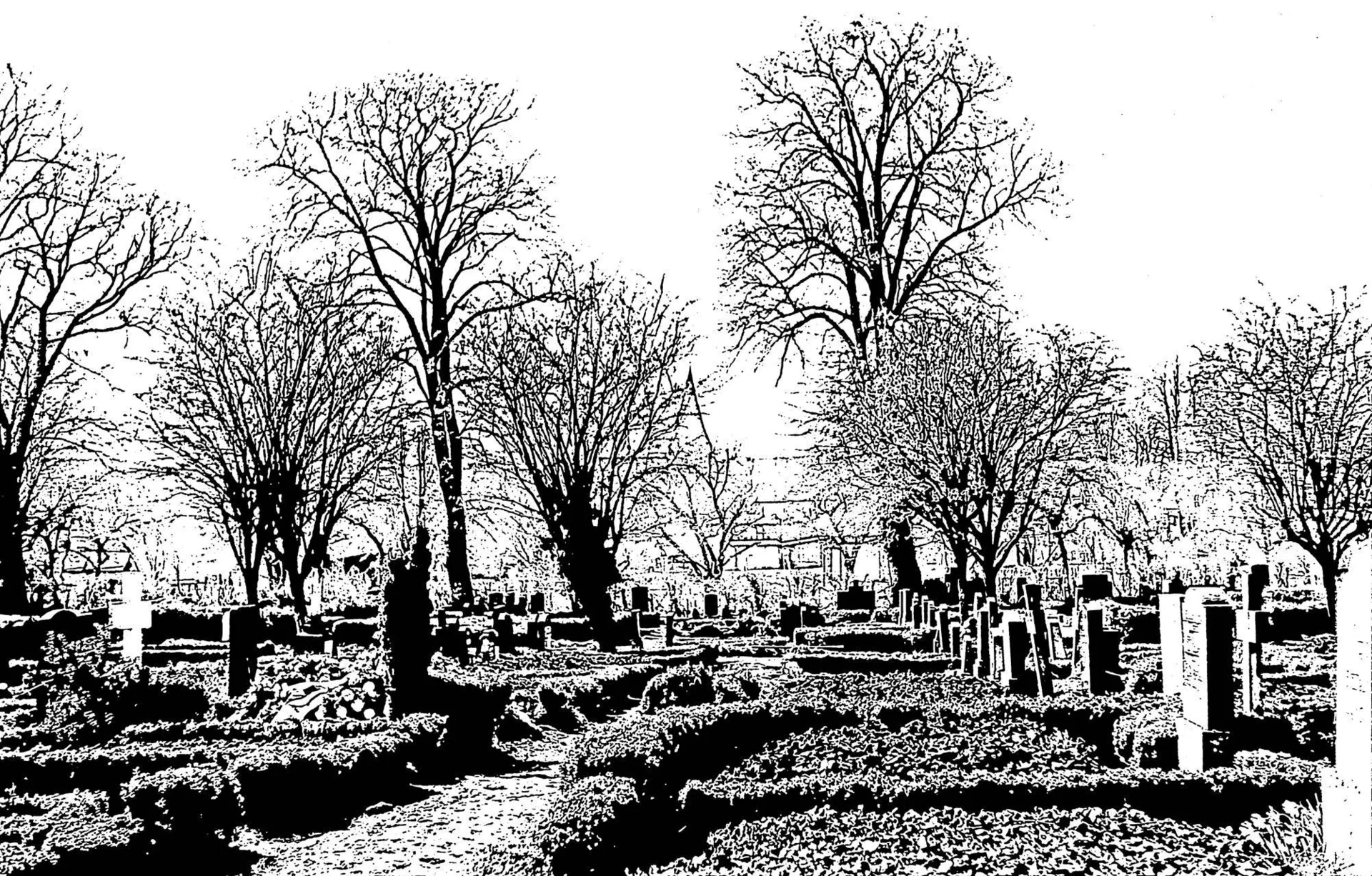 Friedhof Neukalen