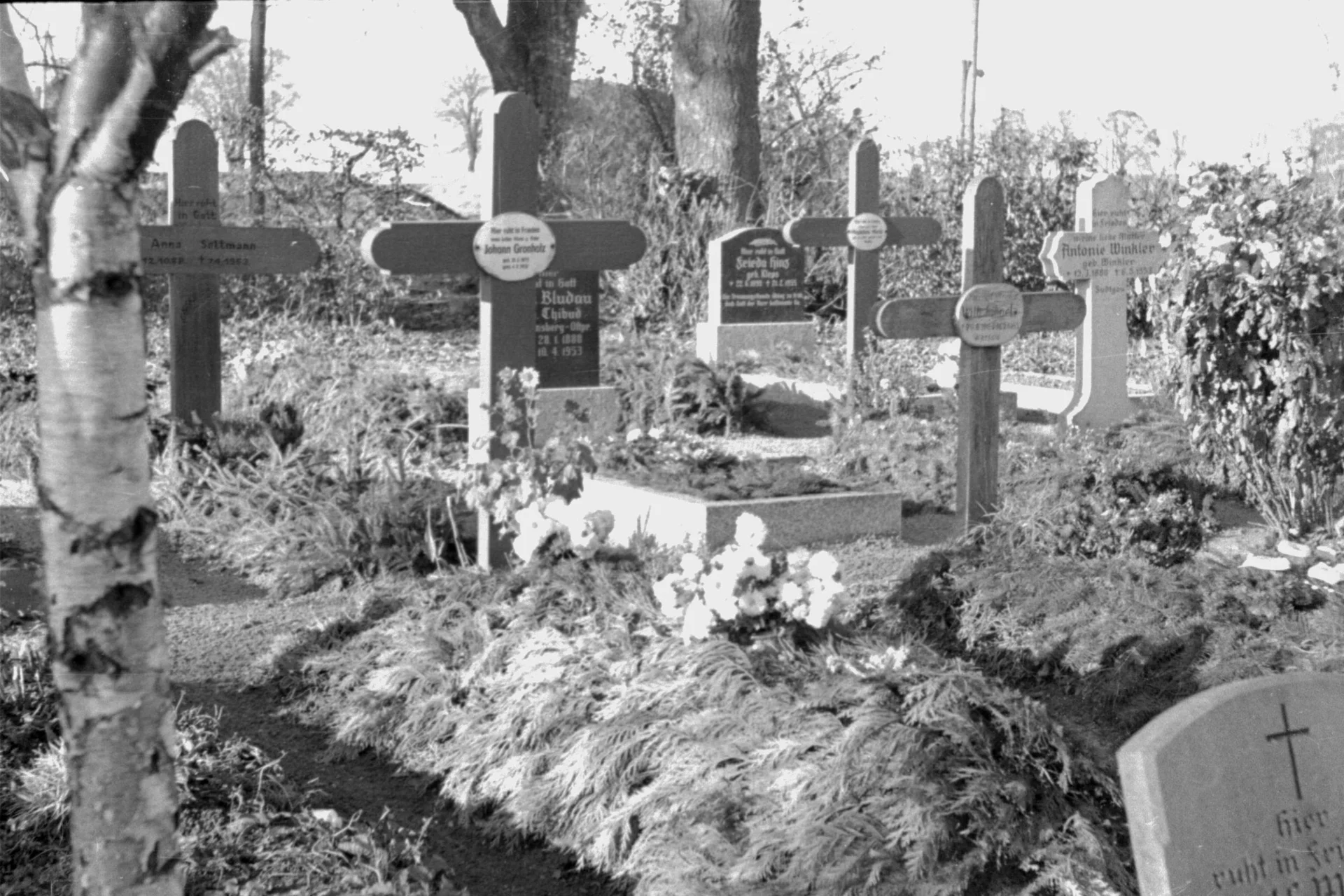 Friedhof Neukalen, um 1955 (5)