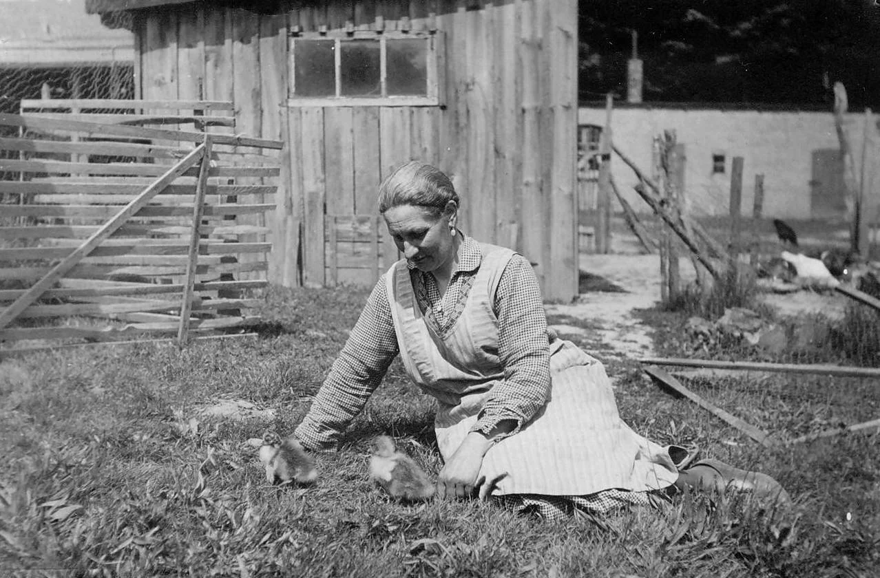 Toni Reder im Waldwinkel