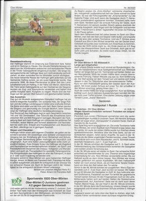 Rasseportrait Haflinger (2) 
