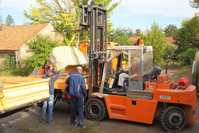 Foto des Albums: Aussuchen und Transport