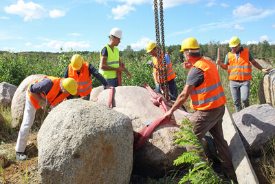 Foto des Albums: Aussuchen und Transport