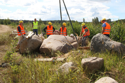 Foto des Albums: Aussuchen und Transport