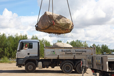 Foto des Albums: Aussuchen und Transport