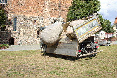 Foto des Albums: Aussuchen und Transport