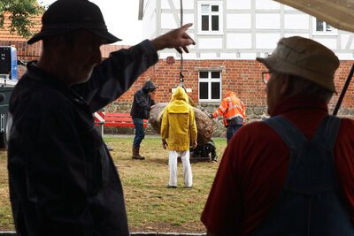 Foto des Albums: Aussuchen und Transport