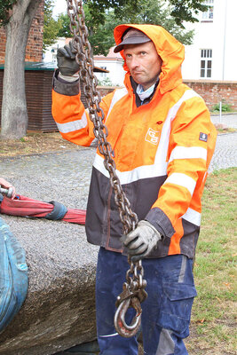 Foto des Albums: Aussuchen und Transport