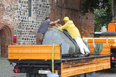 Foto des Albums: Aussuchen und Transport