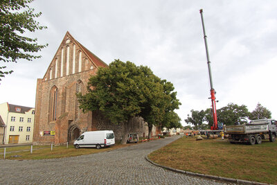 Foto des Albums: Aussuchen und Transport