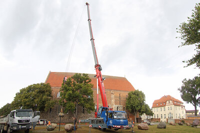 Foto des Albums: Aussuchen und Transport