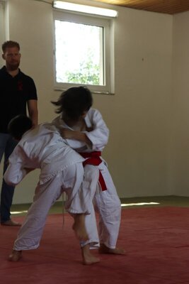 Foto des Albums: Judosafari 2019