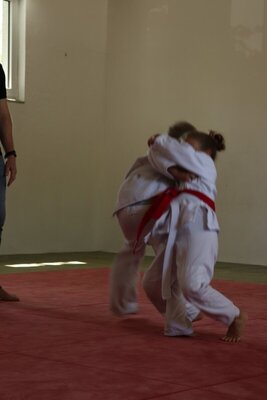 Foto des Albums: Judosafari 2019