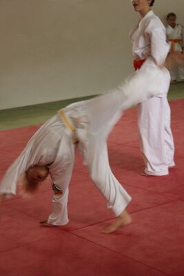 Foto des Albums: Dojo-Camp des JV Urbach 2019