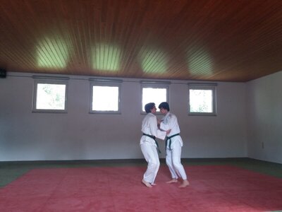 Foto des Albums: Judo Gürtelprüfungen Juli 2019