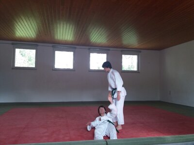 Foto des Albums: Judo Gürtelprüfungen Juli 2019