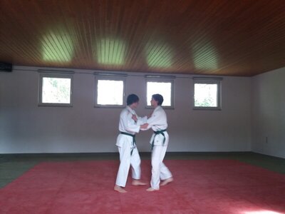 Foto des Albums: Judo Gürtelprüfungen Juli 2019