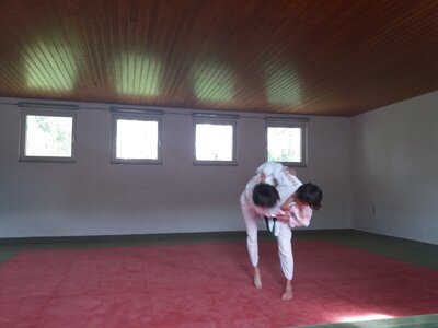 Foto des Albums: Judo Gürtelprüfungen Juli 2019
