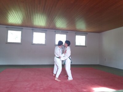 Foto des Albums: Judo Gürtelprüfungen Juli 2019