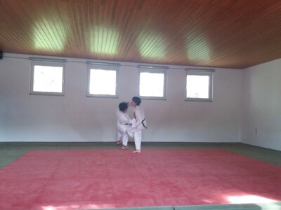 Foto des Albums: Judo Gürtelprüfungen Juli 2019