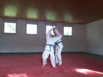 Foto des Albums: Judo Gürtelprüfungen Juli 2019