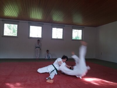 Foto des Albums: Judo Gürtelprüfungen Juli 2019