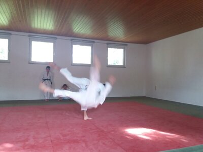 Foto des Albums: Judo Gürtelprüfungen Juli 2019