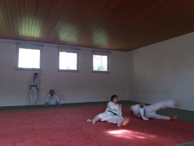 Foto des Albums: Judo Gürtelprüfungen Juli 2019