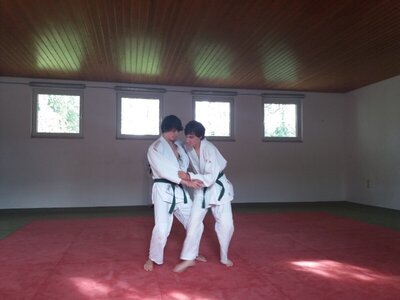 Foto des Albums: Judo Gürtelprüfungen Juli 2019