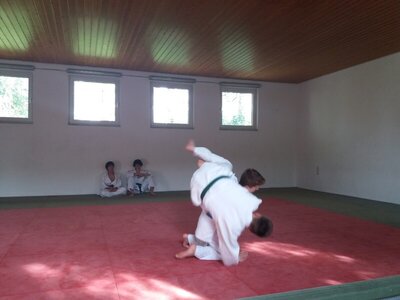 Foto des Albums: Judo Gürtelprüfungen Juli 2019