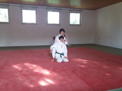 Foto des Albums: Judo Gürtelprüfungen Juli 2019