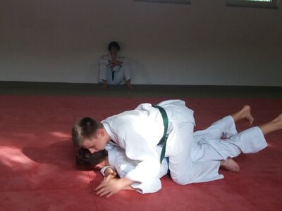 Foto des Albums: Judo Gürtelprüfungen Juli 2019