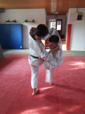 Foto des Albums: Judo Gürtelprüfungen Juli 2019
