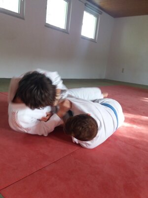 Foto des Albums: Judo Gürtelprüfungen Juli 2019