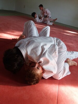Foto des Albums: Judo Gürtelprüfungen Juli 2019