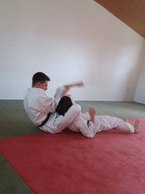 Foto des Albums: Judo Gürtelprüfungen Juli 2019