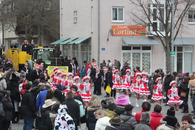 Foto des Albums: Faschingszug 2019