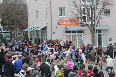Foto des Albums: Faschingszug 2019