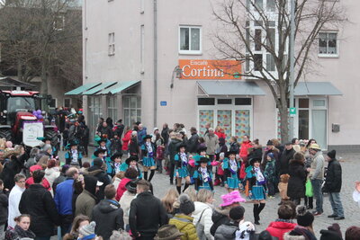Foto des Albums: Faschingszug 2019