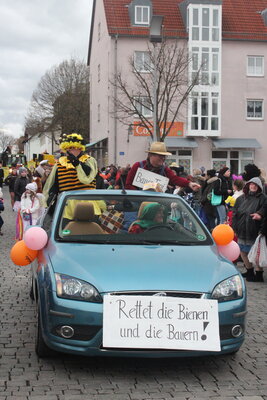 Foto des Albums: Faschingszug 2019