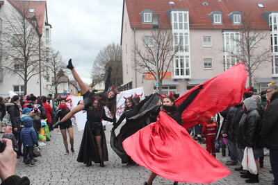Foto des Albums: Faschingszug 2019