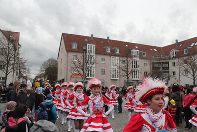 Foto des Albums: Faschingszug 2019