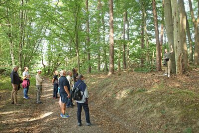 Foto des Albums: Sonntagsausflug